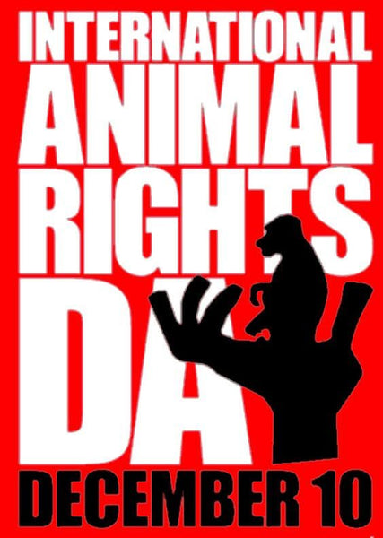 International Animal Rights Day is celebrated annually on December 10, which coincides with the anniversary of the Universal Declaration of Human Rights in 1948.