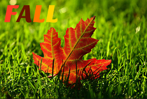 It’s Fall!