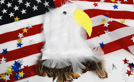 Bald Eagle Magnet
