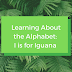 Learning About the Alphabet: I is for Iguana